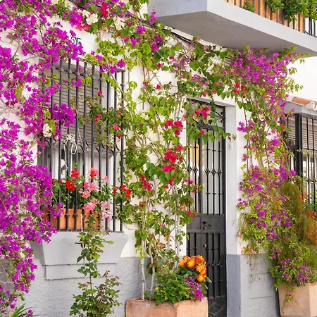 Beachside Oasis 951 Marbella