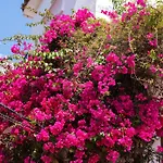 Beachside Oasis 951 *